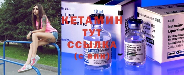 трава Новозыбков