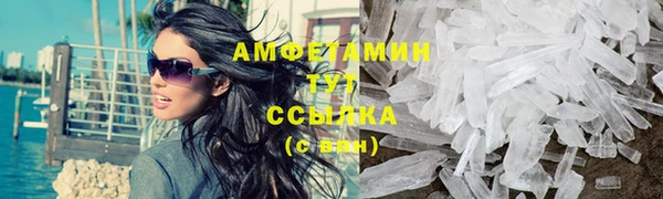трава Новозыбков