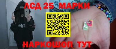 дмт Гай
