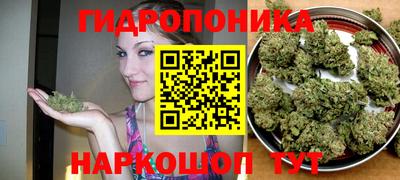 гидропоника Азнакаево