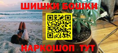 дмт Гай
