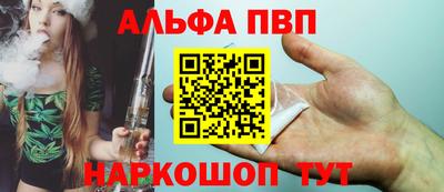 дмт Гай