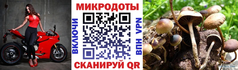 как найти закладки  Рассказово  Псилоцибиновые грибы мицелий 