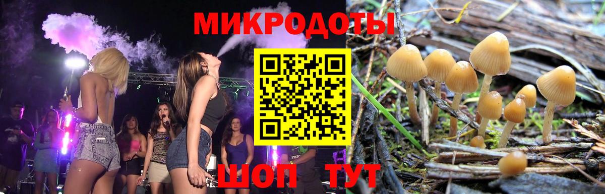 Псилоцибиновые грибы Psilocybe  Вход с VPN  Рассказово 
