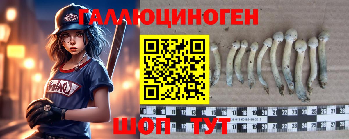 Галлюциногенные грибы Psilocybe Рассказово
